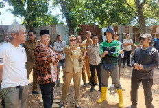 Bupati Lahat Tekankan Kualitas dalam Percepatan Revitalisasi Taman Ribang Kemambang