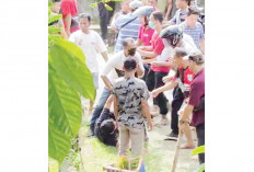 Viral Saling Tangkap hingga Saling Serang, Buntut Dugaan Politik Uang, Masa Tenang Kampanye Ramai di Medsos