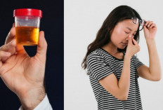 Air Urin Apakah Ampuh Buat Obat Mata? Begini Kata Pakar