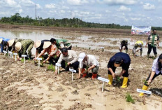Wujudkan Swasembada Pangan, Cetak 1.100 Ha Sawah