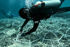  Jaga Ekosistem Laut Tetap Lestari, Ini Aksi Nyata BRI Menanam - Grow and Green di Pulau Kapoposang 