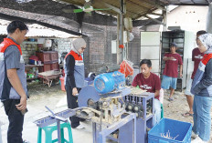 Bambu Liar Jadi Sumber Ekonomi Baru, Tingkatkan Pendapatan Keluarga