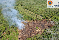  Sepanjang Januari-Mei 2026 Terjadi 63 Kasus Karhutla di Sumsel, Kabupaten PALI Terbanyak, Ini Rinciannya 