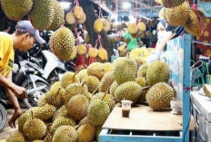 Rekomendasi Tempat Makan Durian di Palembang 