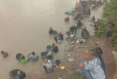 Demam Emas Kembali Melanda Muara Rupit, Warga Berbondong-bondong Mendulang di Sungai Rupit