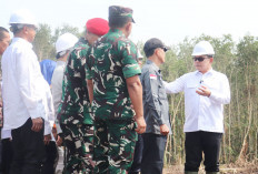 Tinjau Lokasi Program Cetak Sawah di Tanjung Baru OKI, Dudung Sebut Ini Upaya Pemerintah Perkuat Swasembada