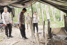 Bakal Terbit Perpres Pengelolaan Minyak Tradisional, Masyarakat Muba Butuh Solusi