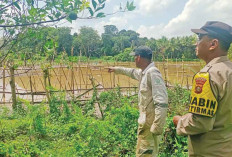 Lahan Jagung 40 Ha Terendam Banjir 