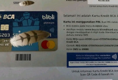 Jangan Tergoda Limit Fantastis, Ini 5 Tips Memilih Kartu Kredit Bank Pertama 2025