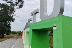 Taman Kota Betuah Banyuasin Terbengkalai, Dipenuhi Semak dan Rumput Liar