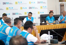 Gubernur Bali Apresiasi Gerak Cepat PLN Atasi Gangguan Kelistrikan