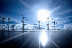 Pemerintah Sukses Tekan Emisi GRK dan Intensitas Energi Primer