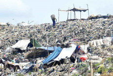 Produksi Sampah Capai 1.200 Ton, Layani 1,7 Juta Penduduk, Butuh Tambahan Petugas dan Armada