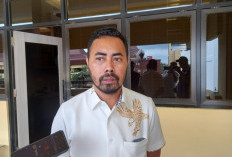 DPRD Sumsel Desak Penegakan Hukum atas Dugaan Pelanggaran Perkebunan di Banyuasin