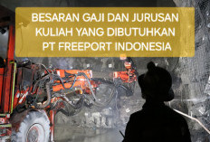 Jumlah Gaji Ketika Lulus Kuliah dan Kerja di PT Freeport, 15 Jurusan Ini Jadi Incaran BUMN Tersebut