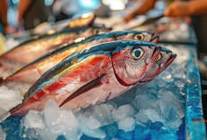 Suka Makan Ikan? Dua Bagian Ini Bisa Berbahaya Jika Dikonsumsi Loh!