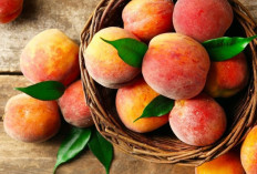 7 Manfaat Buah Persik bagi Tubuh yang Sayang untuk Dilewatkan