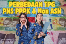 Perbedaan Nilai TPG Bagi PNS, PPPK, dan Non ASN