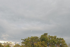 Prakiraan Cuaca Sumsel Sabtu 28 Juni 2025: Hujan Disertai Petir Berpotensi Terjadi di Sejumlah Wilayah