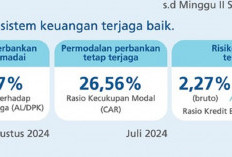 Ketahanan Sistem Keuangan Indonesia Tetap Stabil, Likuiditas Perbankan Aman