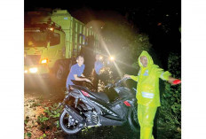Timpa Rumah, Macetkan Jalinsum, Cuaca Ekstrem di Lahat, Sejumlah Pohon Bertumbangan
