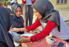    FKM Unsri Luncurkan Program SEHATI, Mahasiswa PBL di Desa Kota Daro II OI