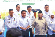 Banyuasin Peringkat Pertama Peningkatan Produksi Beras Nasional
