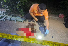 Mayat Perempuan Tergeletak di Pinggir Jalan, Didapati Luka Robek di Wajah dan Memar di Pinggang Belakang