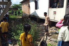 Sapi Qurban Ngamuk, Kabur Menuju Dam Sungai Musi, Warga Panik dan Kejar Bersama-sama