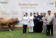 Bank Mandiri Kurban 23 Sapi dan 11 Kambing, Ribuan Kupon Dibagikan ke Masyarakat