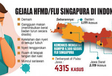 Seluruh Daerah Diminta Waspada, Kemenkes Catat 6.500 Kasus Flu Singapura, Terbanyak di Jawa