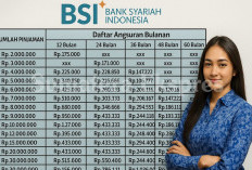 Perbedaan Pinjaman Non KUR BSI untuk Guru Serdik dan KUR BSI: Tujuan, Plafon hingga Syarat Pengajuan