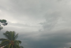 Prakiraan Cuaca Sumsel Rabu 25 Juni 2025: Didominasi Cerah Berawan, Waspadai Hujan Sore di Beberapa Wilayah