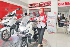 Maung Garuda, Beli Motor Makin Untung