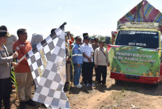 Pemkab dan Polres Muara Enim Gelar Panen Raya Jagung Dukung Swasembada Pangan Nasional