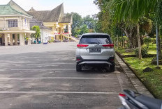 Teror Anjing Liar di Depan Kantor Pemda Lahat, Bocah 6 Tahun Jadi Korban Gigitan