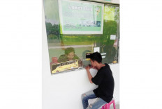 Harga Terjangkau, Dapat Rice Box 