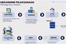 Jadwal Pemanggilan PPG Guru Tertentu 2025, Siapa Guru yang Didahulukan? Simak Penjelasannya