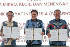 Dukung Pengusaha Daerah, BRI Perkuat Sinergi dengan BP Batam, BKPM, dan Kementerian UMKM