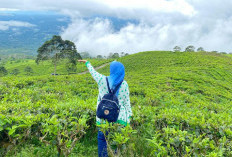Saat Jenuh Menghantui, Healing dan Liburan Jadi Obat Paling Manjur