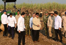 Dampingi Prabowo Panen Raya di Malang, Nusron Soroti Kepastian Hukum Tanah