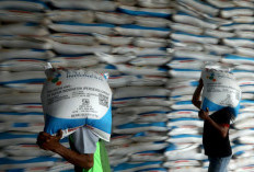 Pupuk Indonesia Edukasi Petani Cilik di Muara Enim
