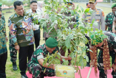 Perkenalkan Program Pulauan Bueh