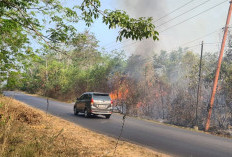 Pengendara Panik Ada Kebakaran Lahan di Jalan Lintas Martapura-Belitang