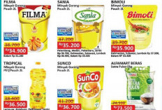 Akhir Pekan Diskon Gede! Intip Promo JSM Alfamart, dari Minyak Goreng hingga Susu SGM