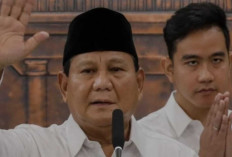 Ini Dia Bocoran Kabinet Prabowo-Gibran: 46 Kementerian dengan Susunan Baru, Apa Saja? 