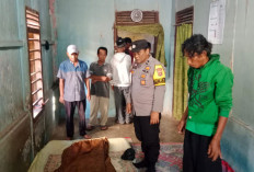 Diduga Depresi karena Penyakit, Pria di OKU Timur Diduga Bunuh Diri