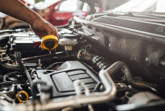 Wajib Tahu! 3 Ciri Mobil Bekas yang Harus Kamu Hindari Meski Harganya Murah