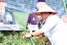 Selaraskan Gerakan Tanam Sayur, Bentuk Dukungan Banyuasin Terhadap GSMP