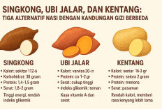 Singkong, Ubi Jalar, dan Kentang: Tiga Alternatif Nasi dengan Kandungan Gizi Berbeda